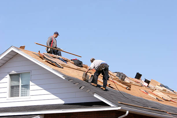 Best Roof Maintenance and Cleaning  in Harbor Hills, OH